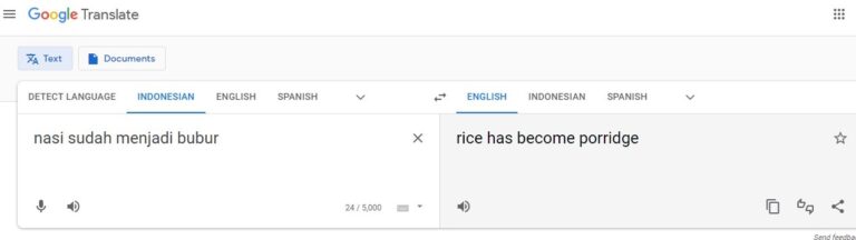 Google Translate: Bagaimana Hasil Terjemahan Google Translate?