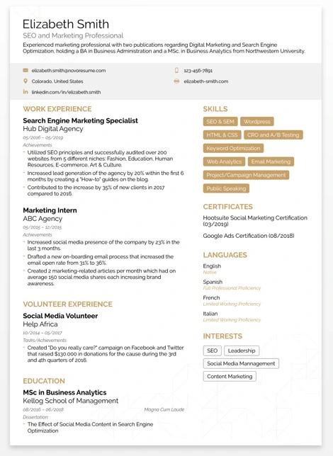 contoh template professional resume